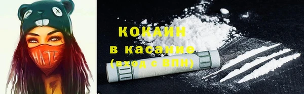 ECSTASY Алзамай