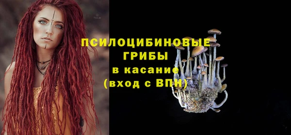 прущий лед Аркадак