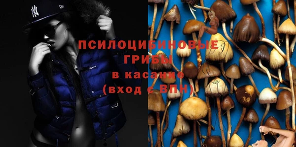 соль курить ск Новозыбков