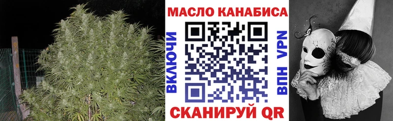 сколько стоит  Адыгейск  mega tor  Дистиллят ТГК концентрат 